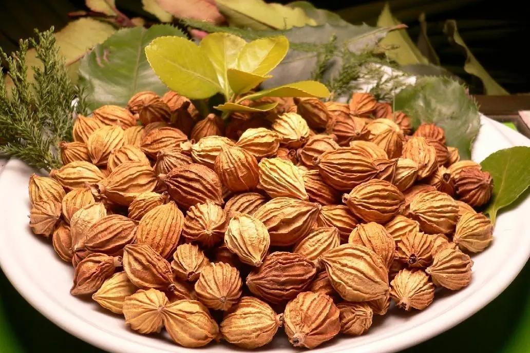 附子汤治小便不通,中药温阳补肾汤