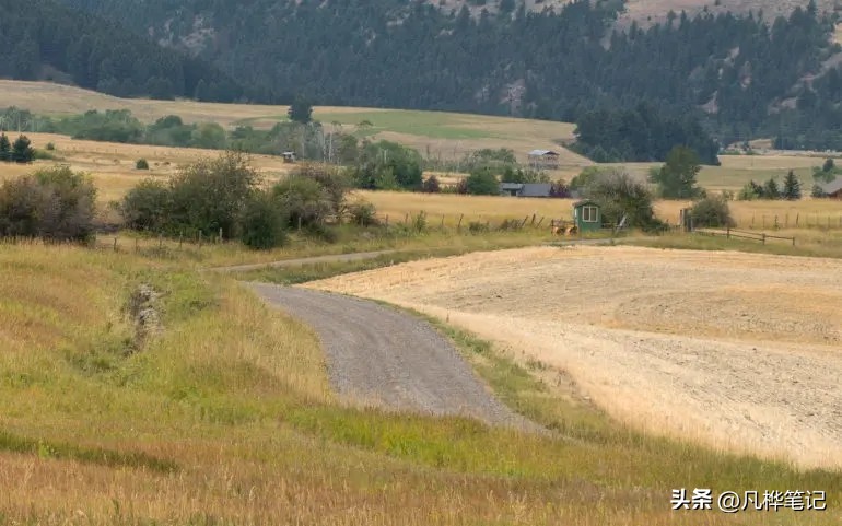 哈苏x2d100c视频,哈苏x2d100c与50c区别