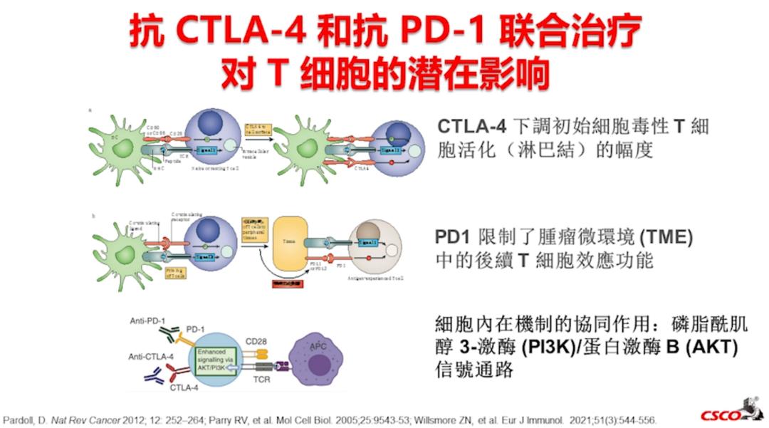 2018csco肝癌诊疗指南解读,廖家杰教授谈中国