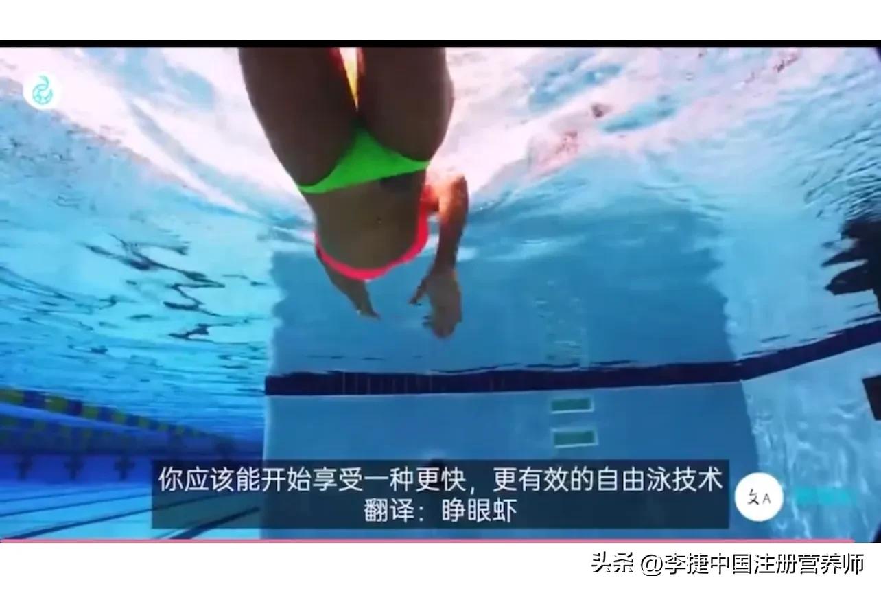 前游泳冠军谈自由泳技术,舒曼自由泳视频
