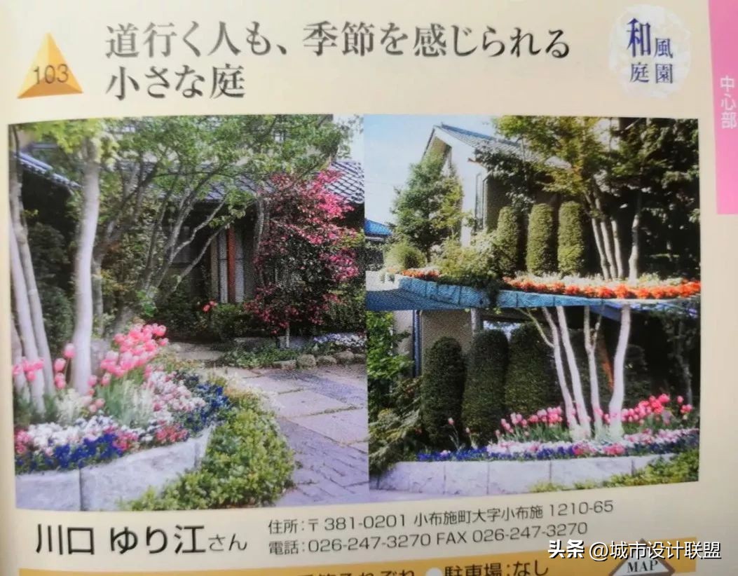 乡村振兴和乡村治理典型经验,乡村治理的发展与创新