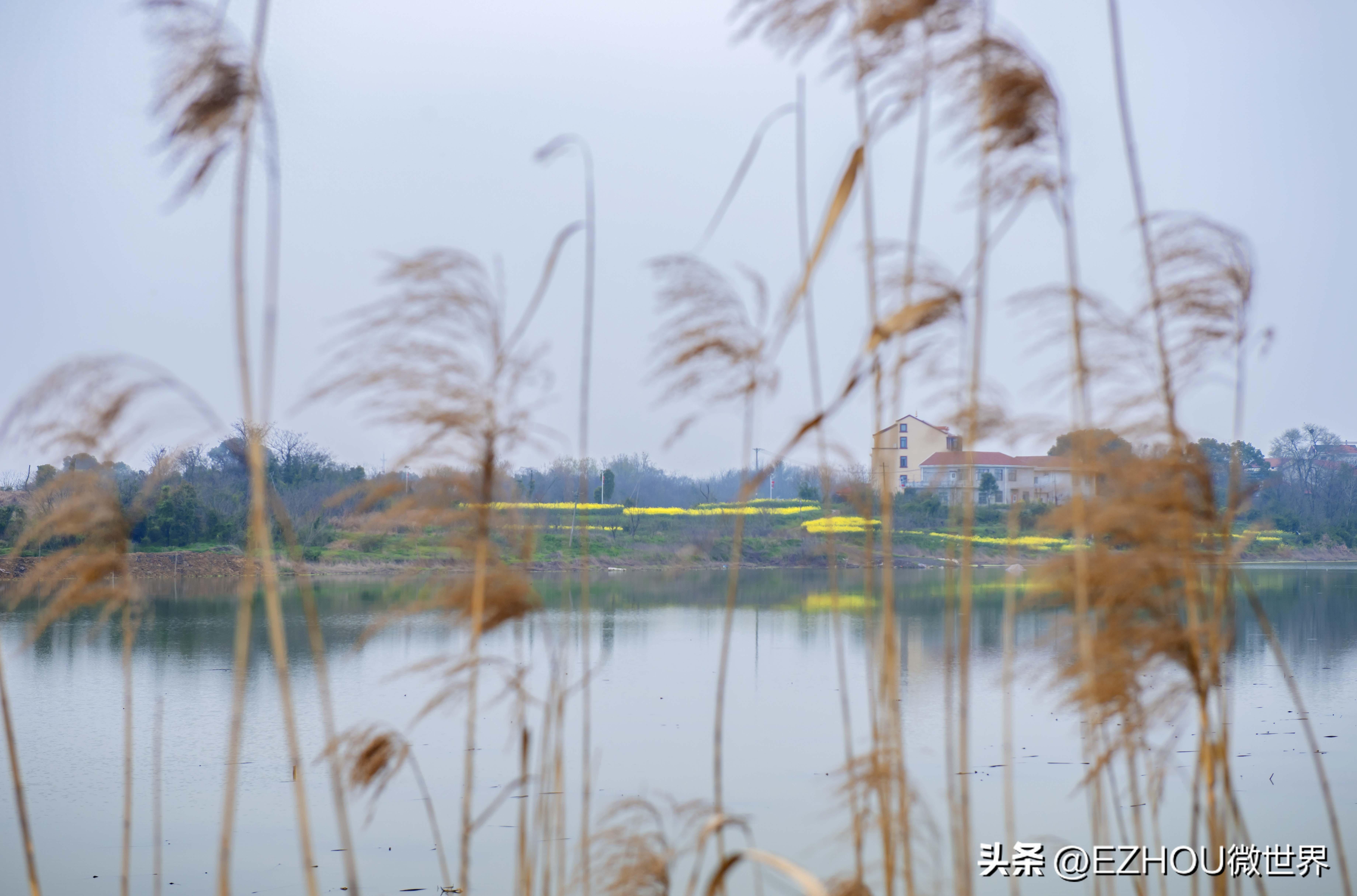 医保基金违法违规使用案例,违规使用医保基金追责