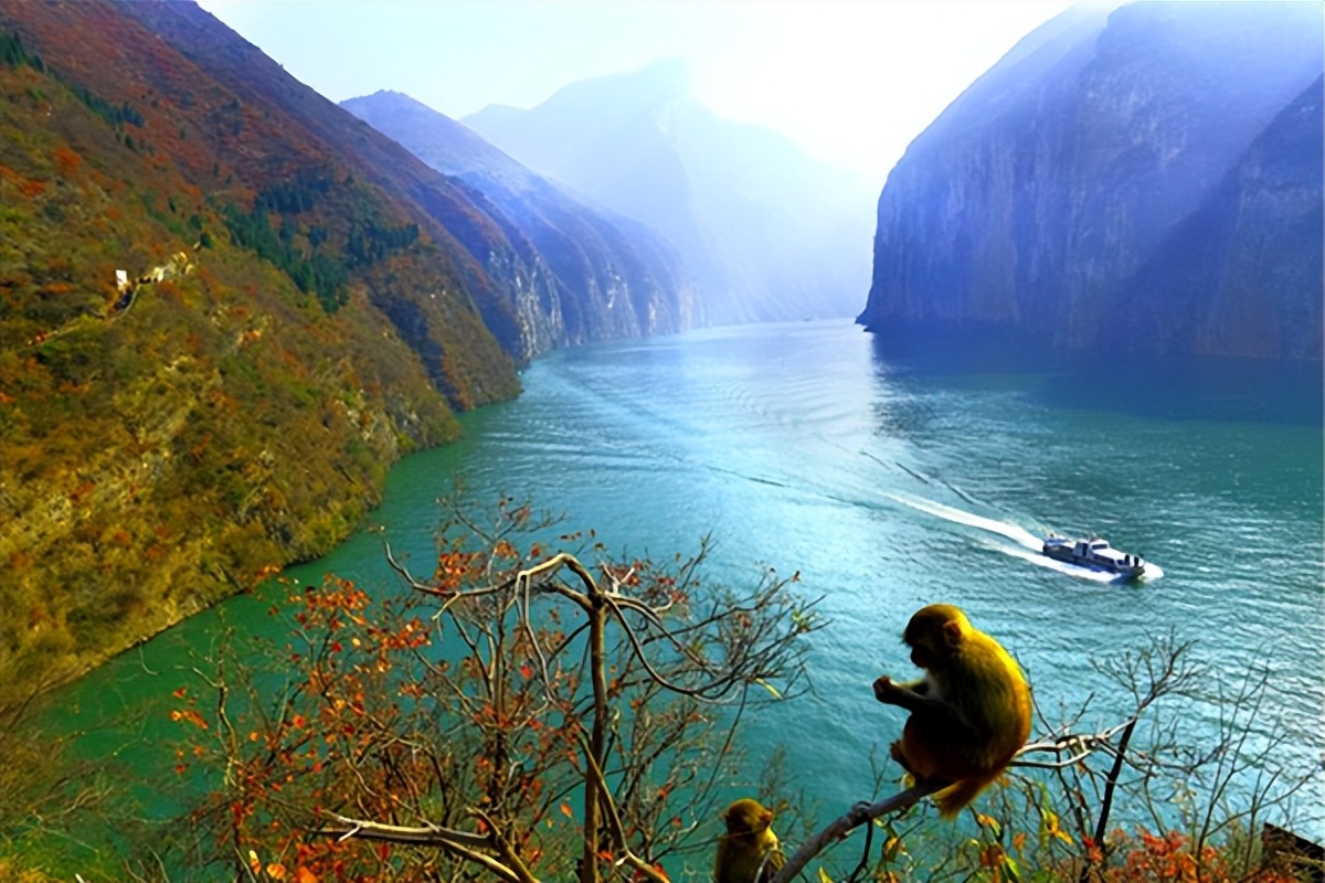 唐诗经典100首必背,240首必背唐诗