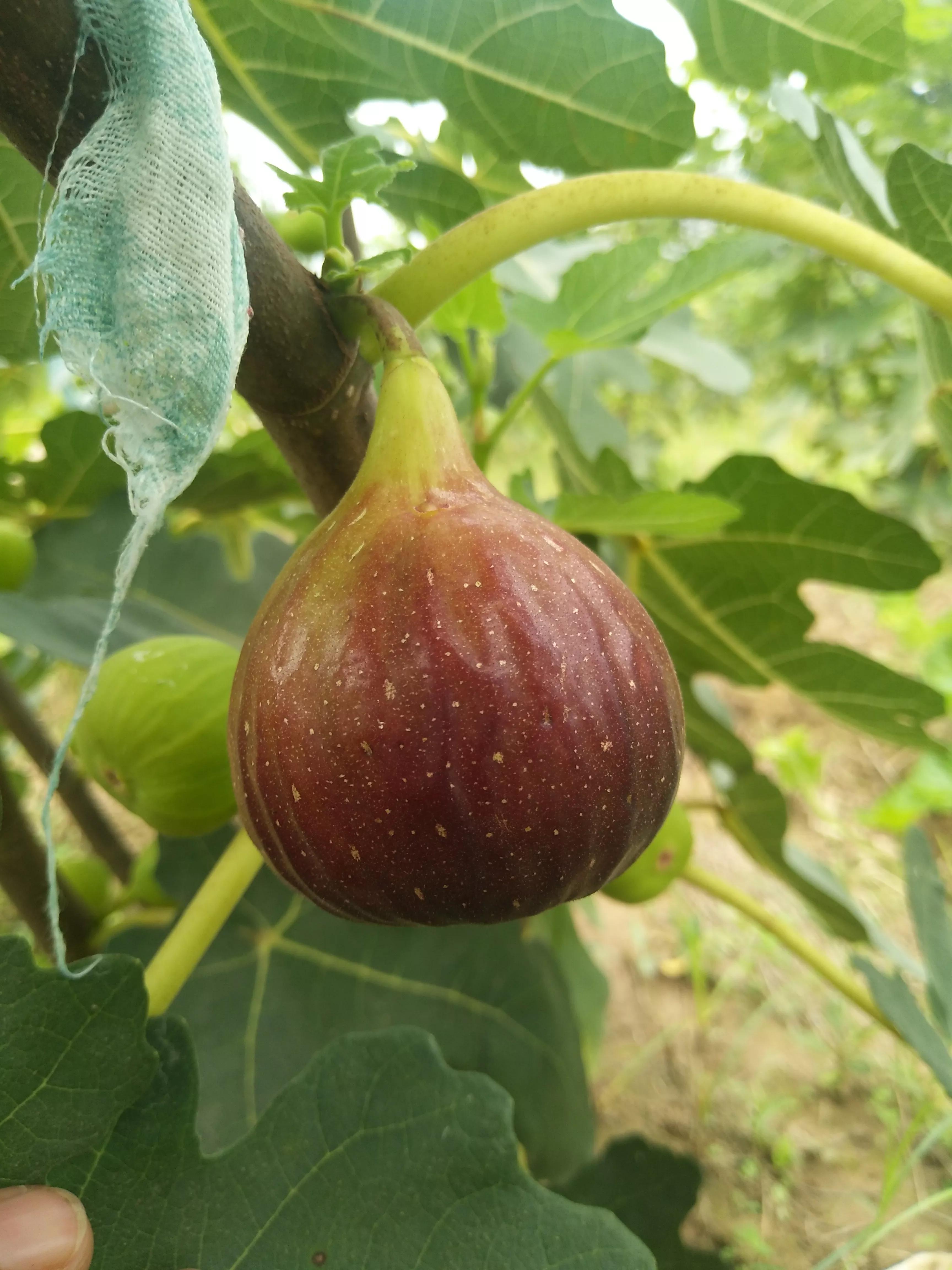 我与火锅的不解情缘,我与焦虑症的不解情缘