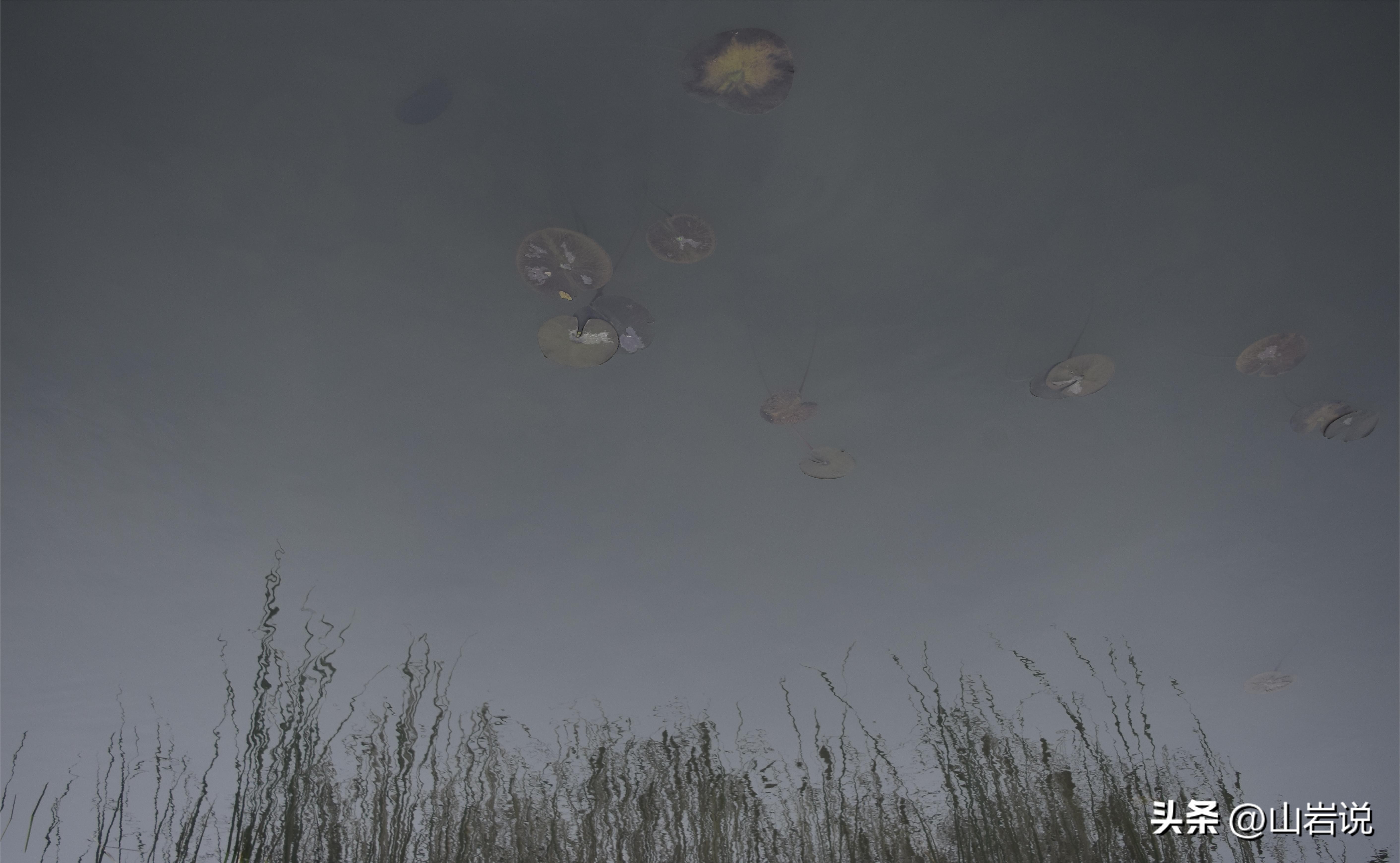 一杯茶一缕阳光一段惬意的时光,一杯茶一段时光人生感悟