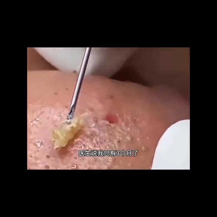 日常系美剧小说,免费看小说的日常