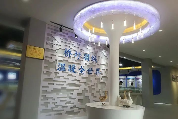 卖羽绒服被气疯,卖羽绒服卖疯了系列