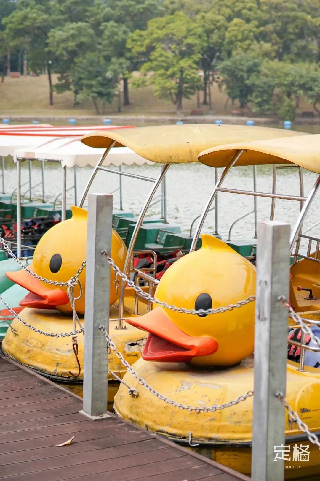 深圳地铁可以直接去的免费景点,深圳免费地铁直达景点12号线