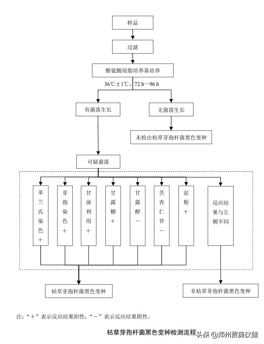 芽孢杆菌生物指示剂灭菌时间,黑色变种枯草芽孢杆菌灭菌影响