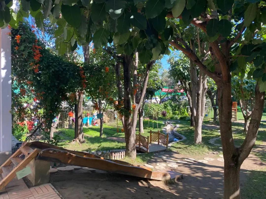 大理幼儿园环境,大理县城幼儿园