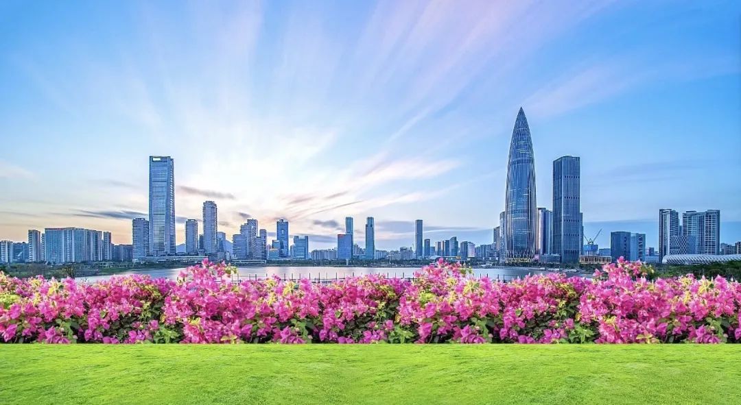 从北上学习之旅看深圳的雄心壮志｜深政一周