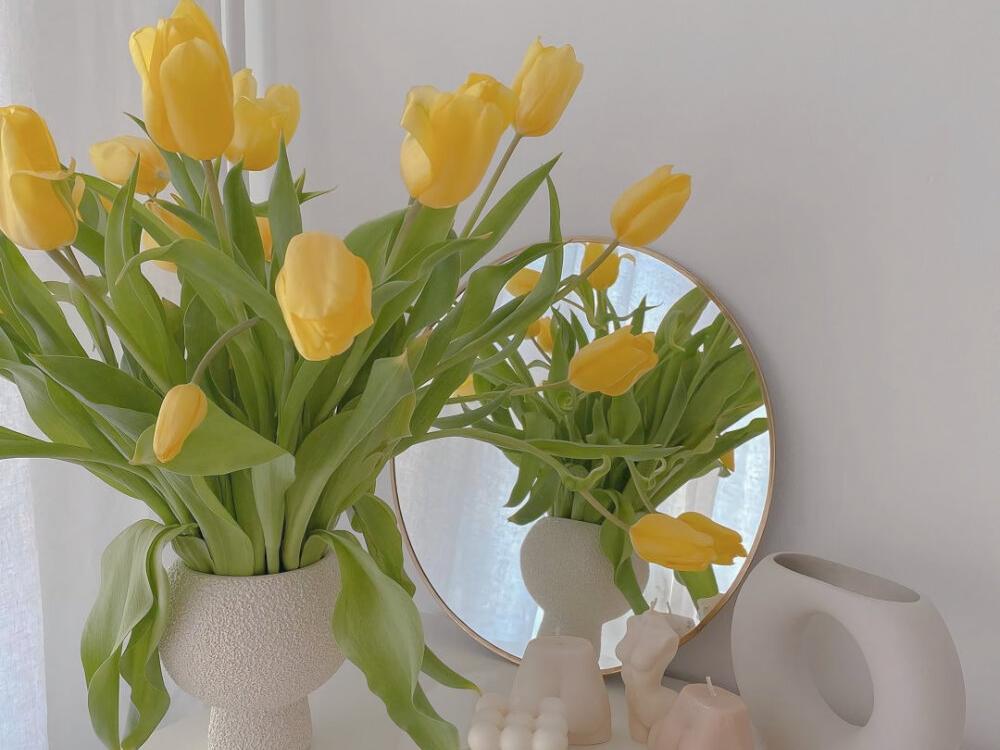 乔迁新居用什么鲜花最好,搬新房子买什么鲜花比较好