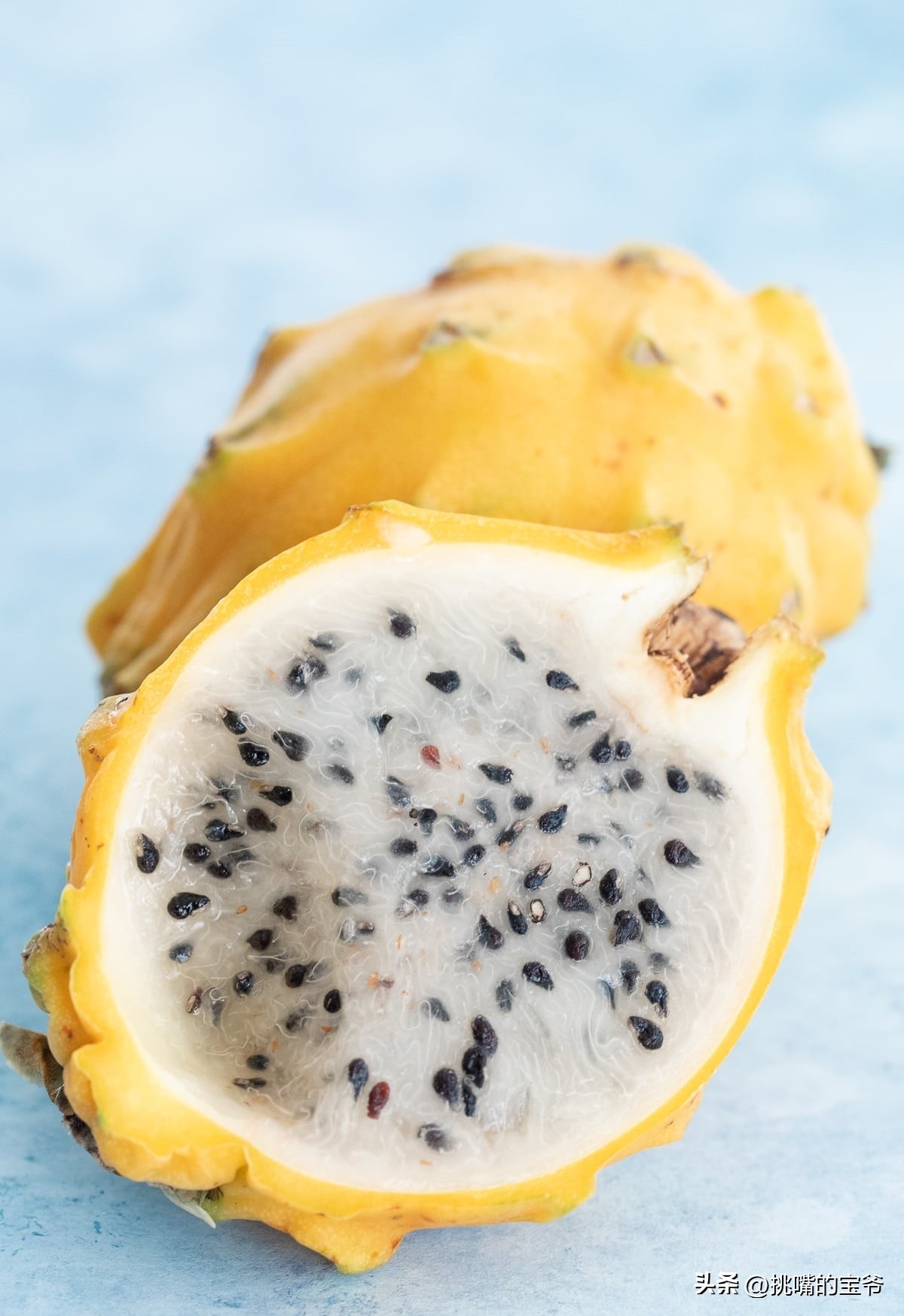 燕窝果跟黄色火龙果有什么区别,燕窝火龙果和黄皮火龙果区别