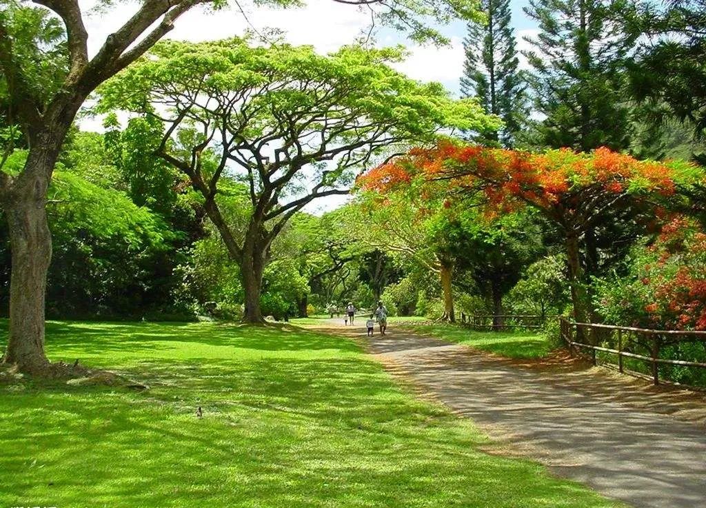 解读思考|园林行业到底赚不赚钱？