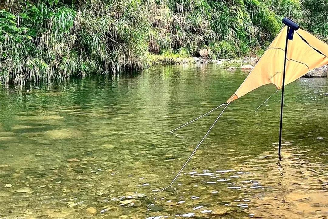 从化草埔村荷花游记,从化小杉村游玩攻略油菜花