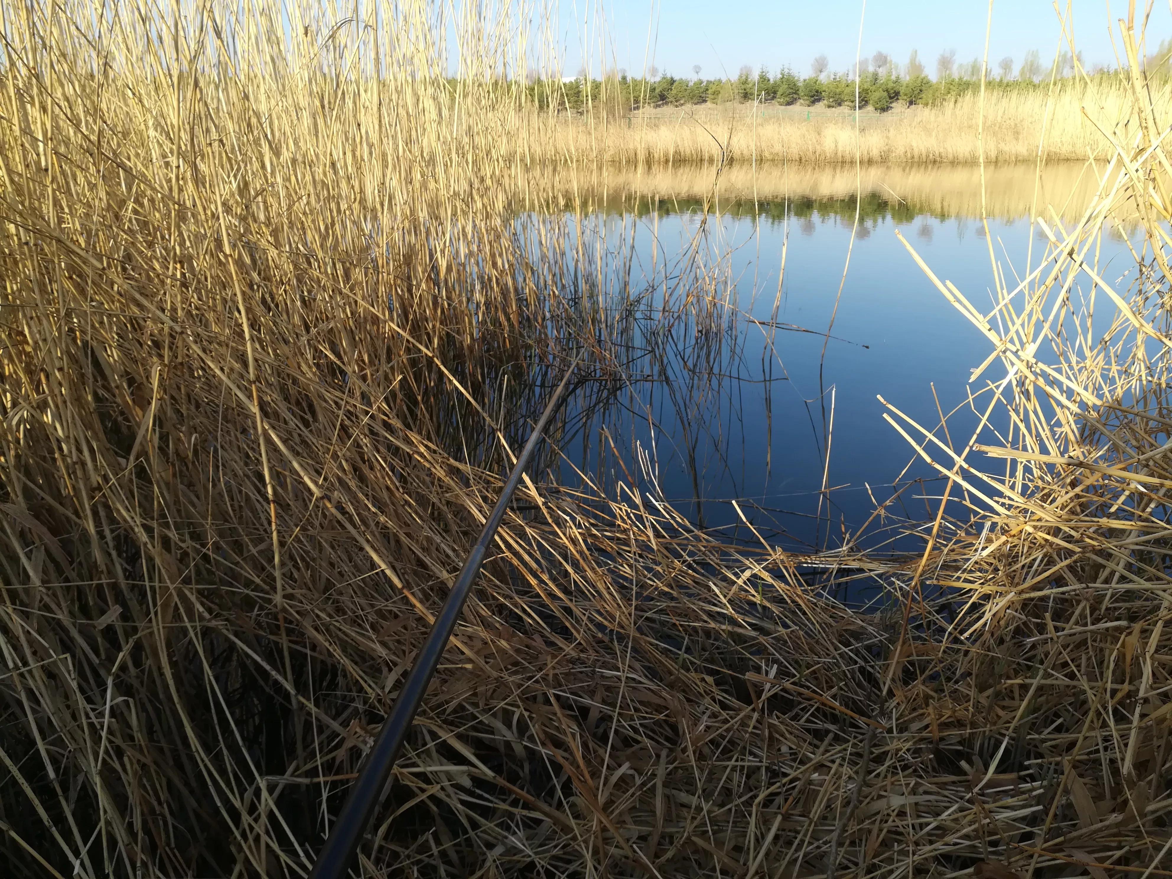 野钓传统钓鱼竿多少米最合适,传统钓鱼竿如何选购