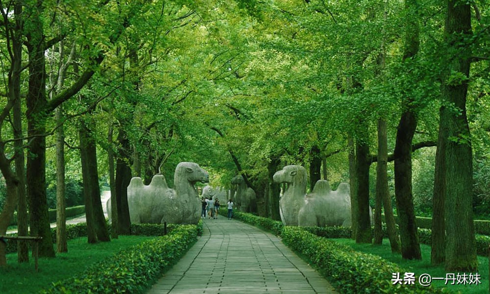 南京特产适合带回家的吃的,去南京旅游有什么特产值得带回