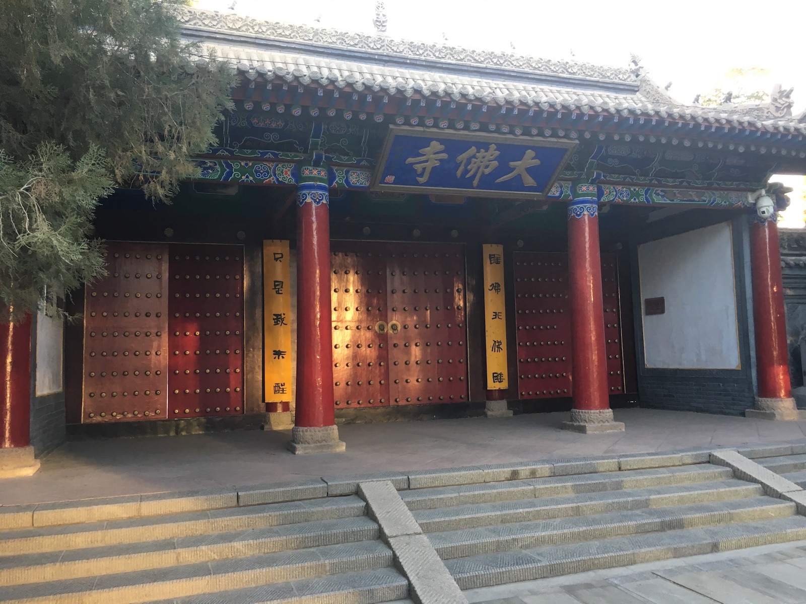 北京自驾额济纳胡杨林十天攻略,从北京到额济纳胡杨林线路