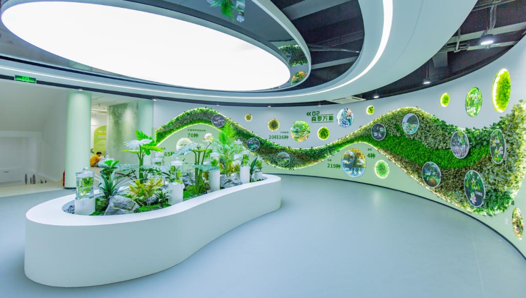 春日出游计划东寨港红树林观鸟游,东寨港红树林观鸟