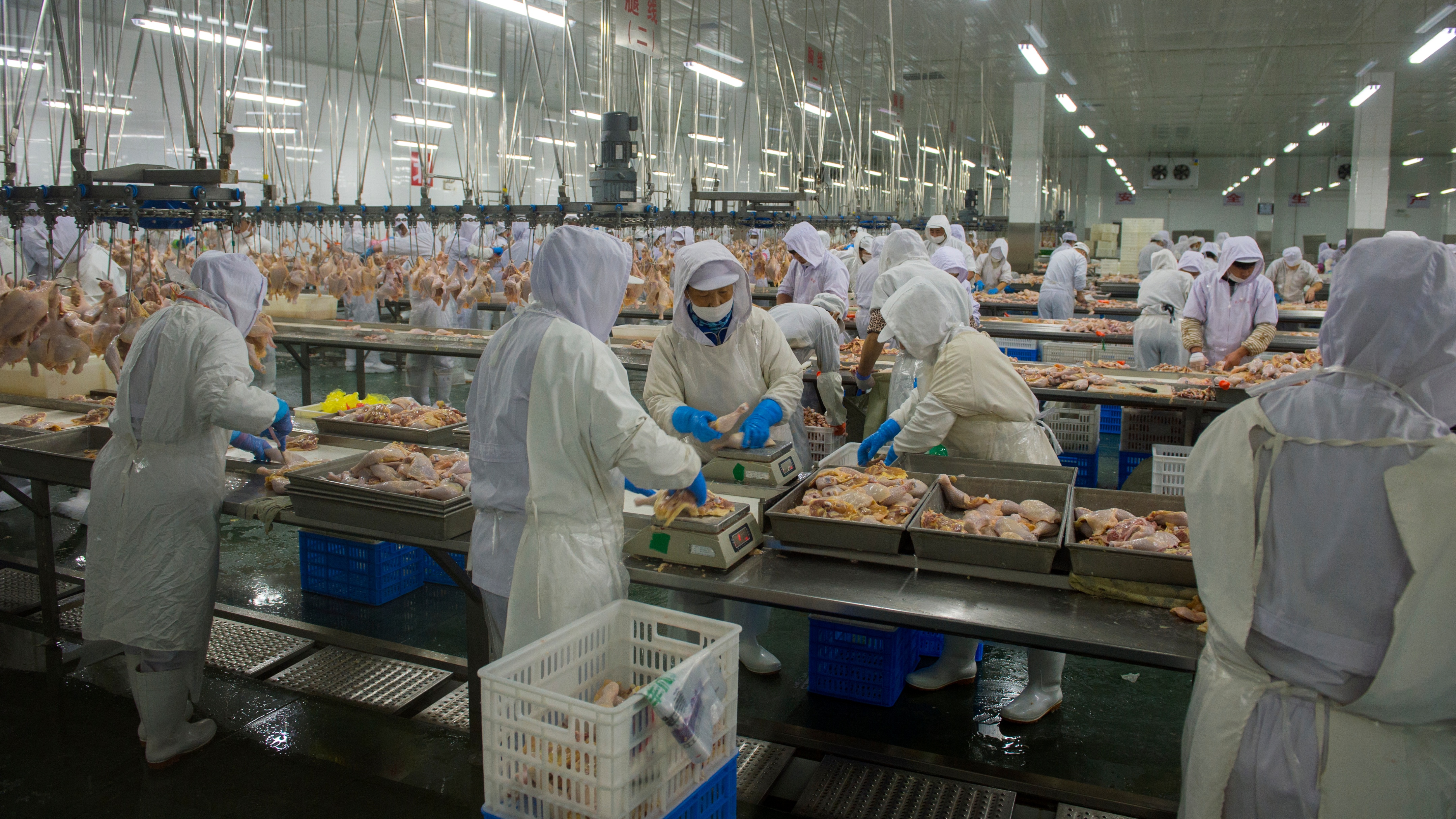 义县最新引资消息,义县招商