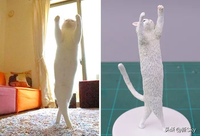 哈哈哈，这个神经手办又双叒更新了，笑惨我了