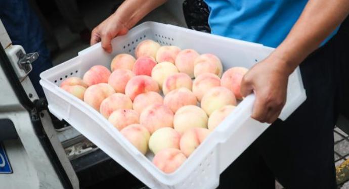 网上兼职大多不靠谱，不如摆地摊轻松日入500+