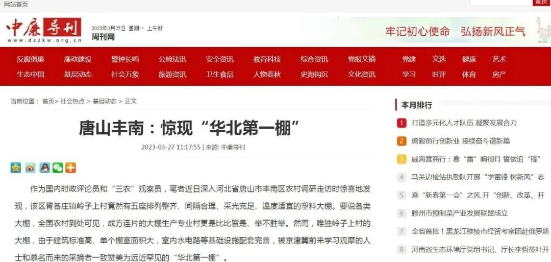 唐山丰南：惊现“华北第一棚”