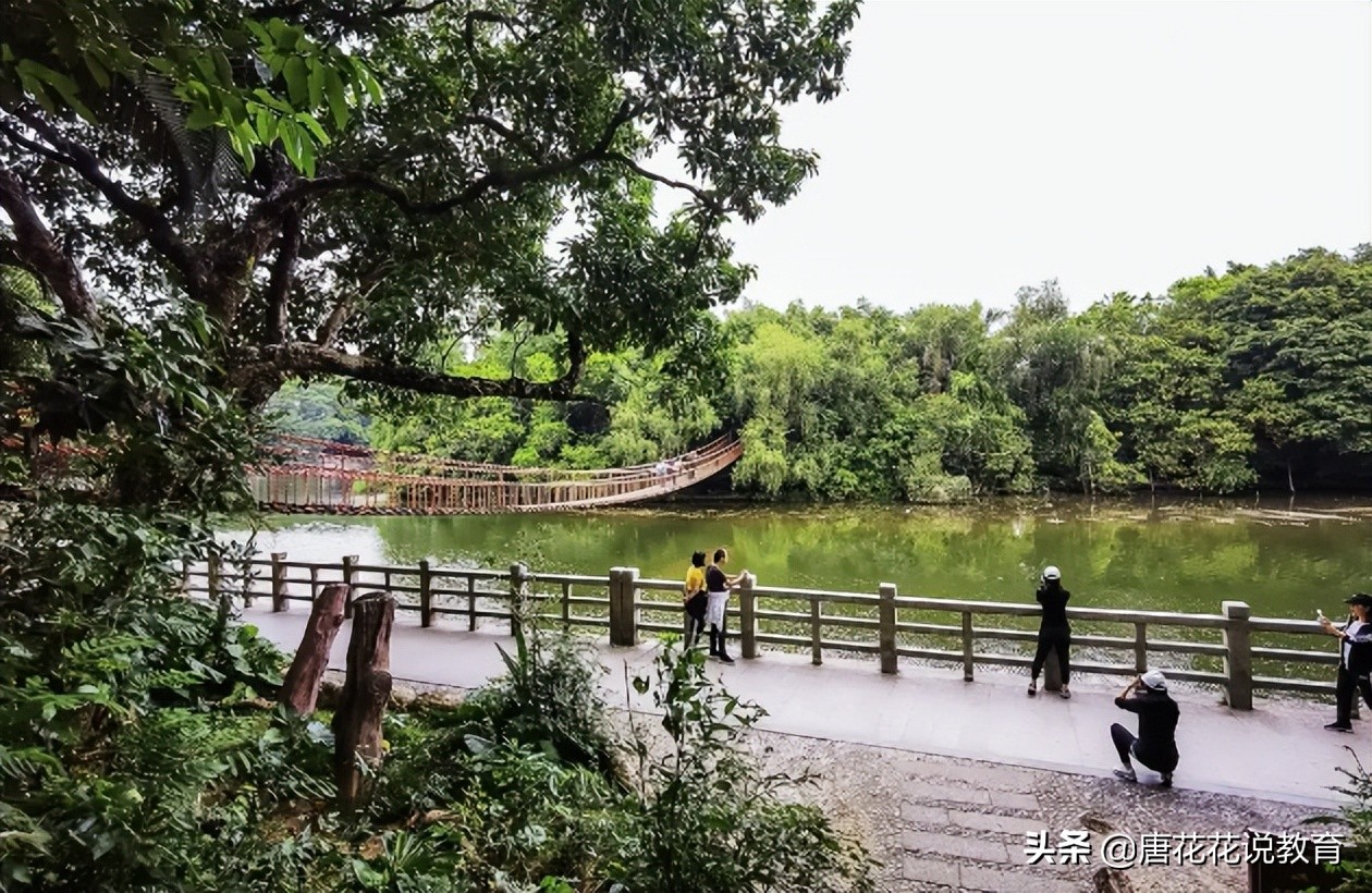 深圳地铁8号线可以看海吗,深圳地铁15号线游玩攻略路线