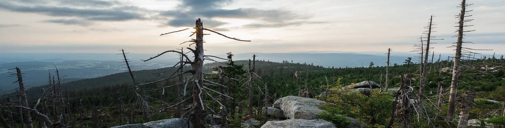 突尼斯历史遗产和建筑，反映了突尼斯怎样的文化背景？