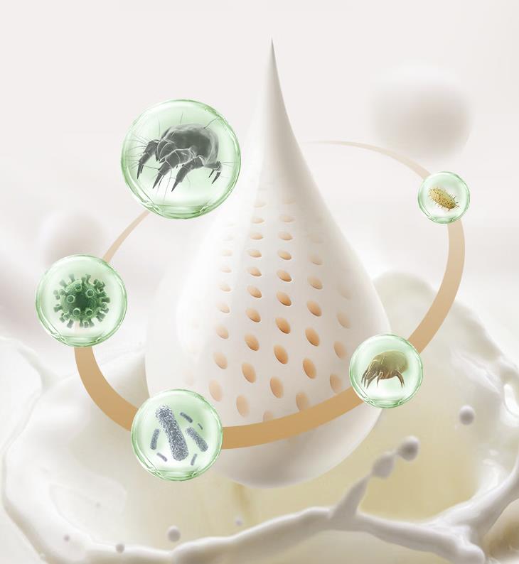 天然乳胶床垫哪个品牌好性价比高,椰棕乳胶床垫哪个品牌性价比高