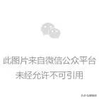 因为专注所以专业——2021阿普利亚统一赛肇庆站暨年度总决赛