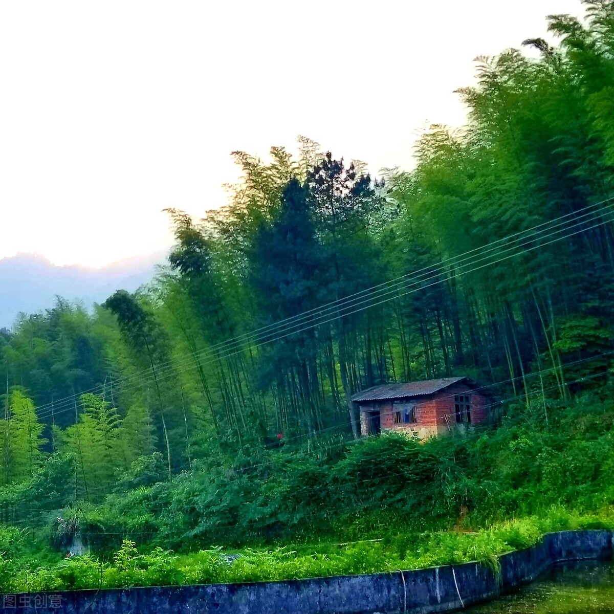 旧文阅读,旧文新读