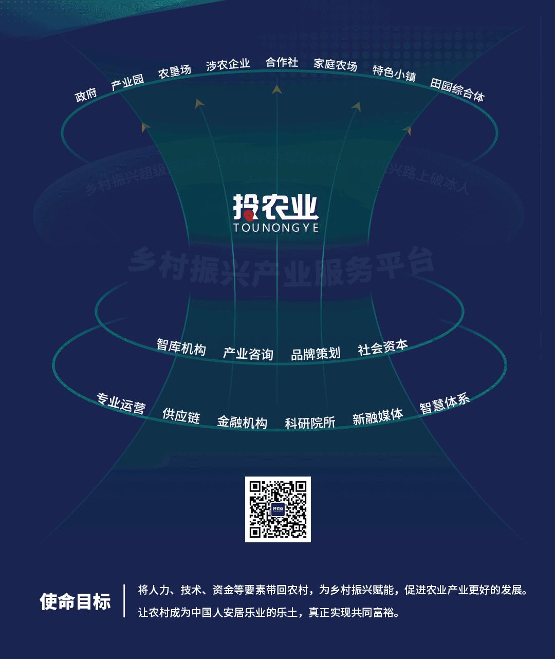 永修香米的故事,江西九江永修香米