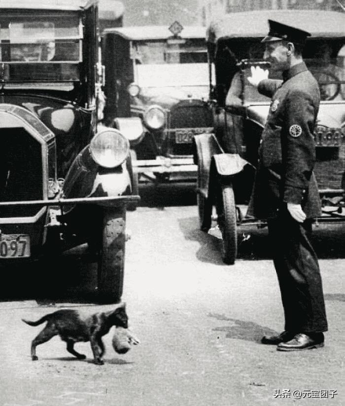 日军日记：*安妇慰**不服从管教，我很愤怒，用*刀刺**插入她的*体下**