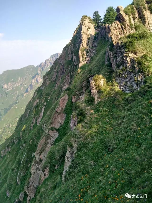 小五台山金莲花坡,小五台金莲花