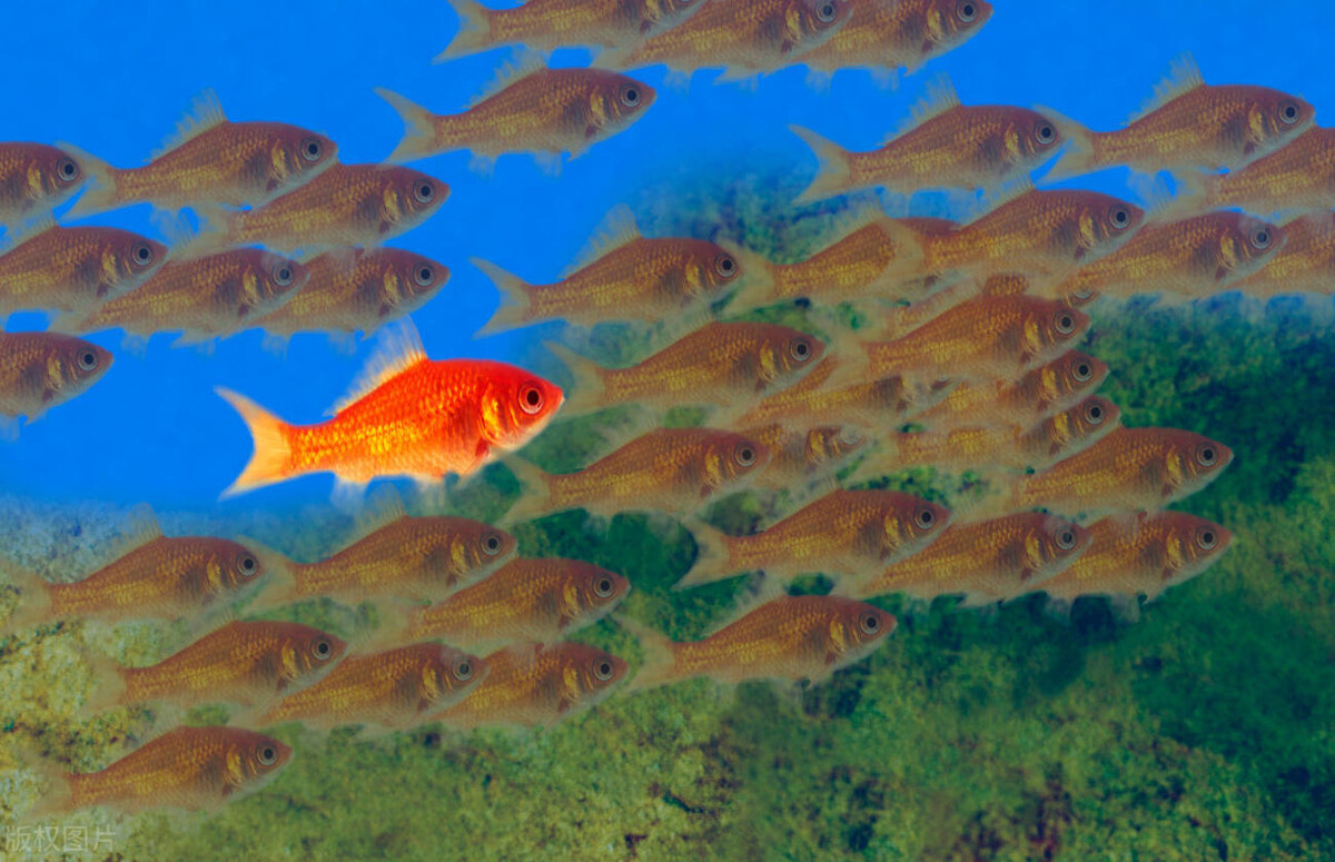 流浪地球2刘德华进组了吗,刘德华流浪地球2出现的多吗