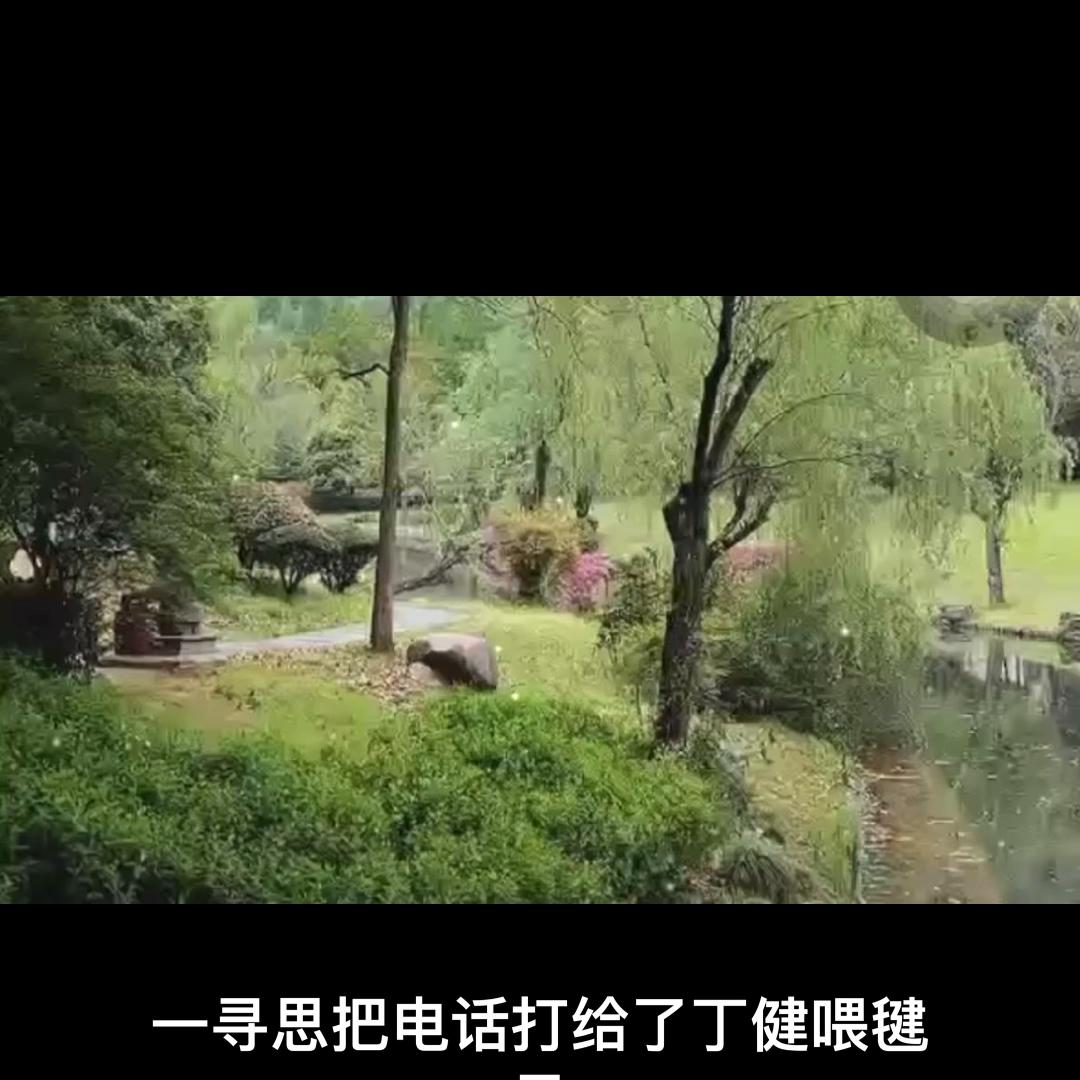 74章（5）收租风波@抖音短视频