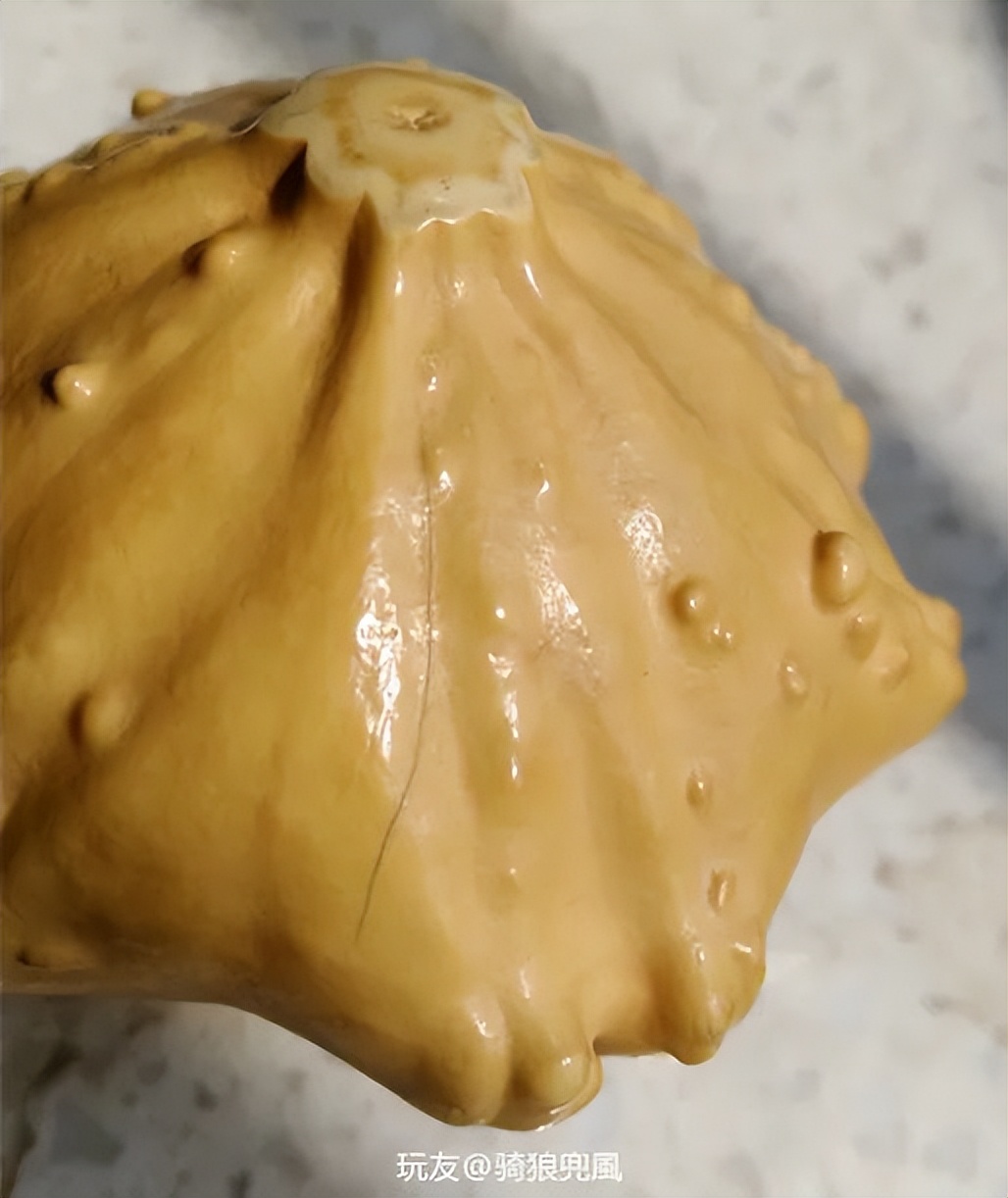 葫芦案真实案件,葫芦案事件始末