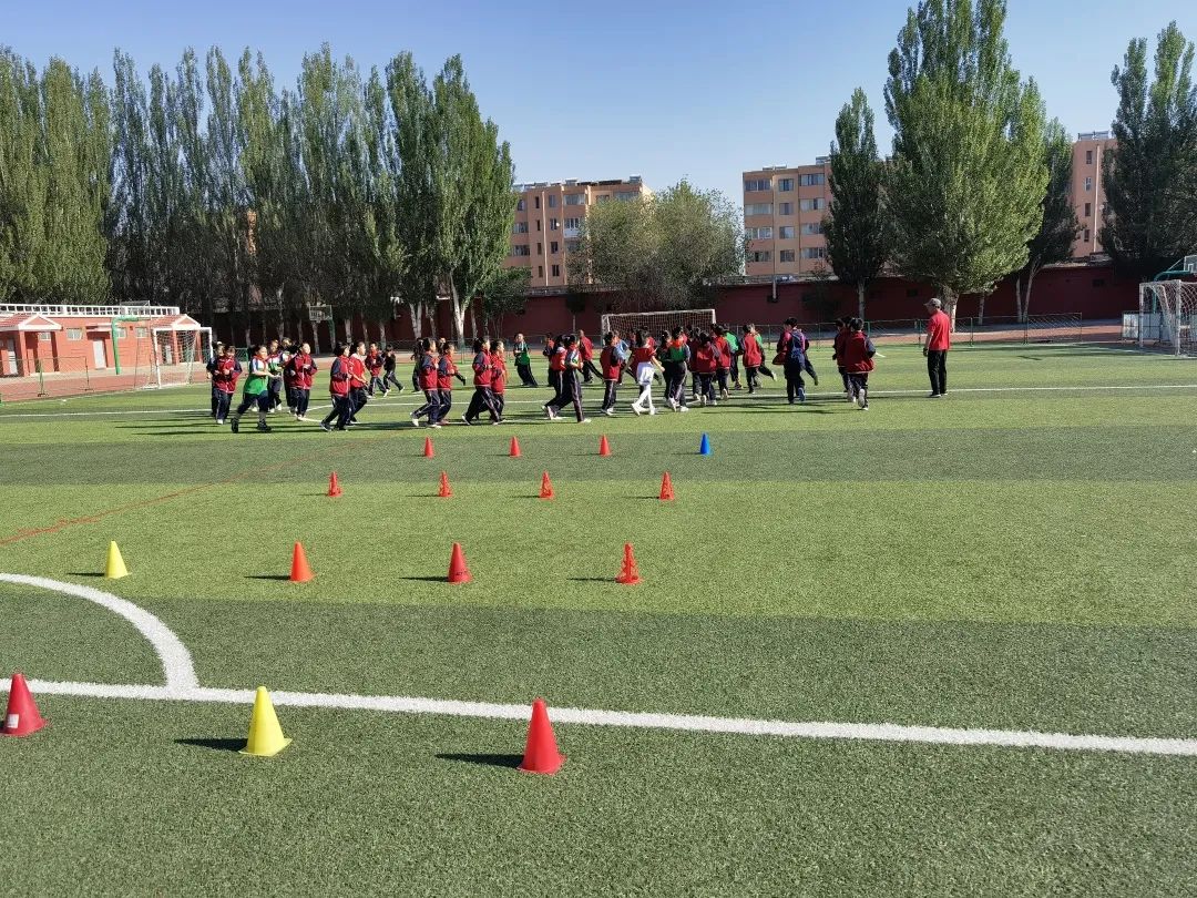 骨干教师示范引领个人工作总结,省市区优秀教师示范引领