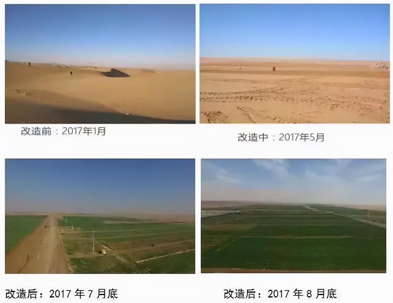 中国神奇胶水让沙漠变绿洲,中国科学家发明胶水沙子变土壤