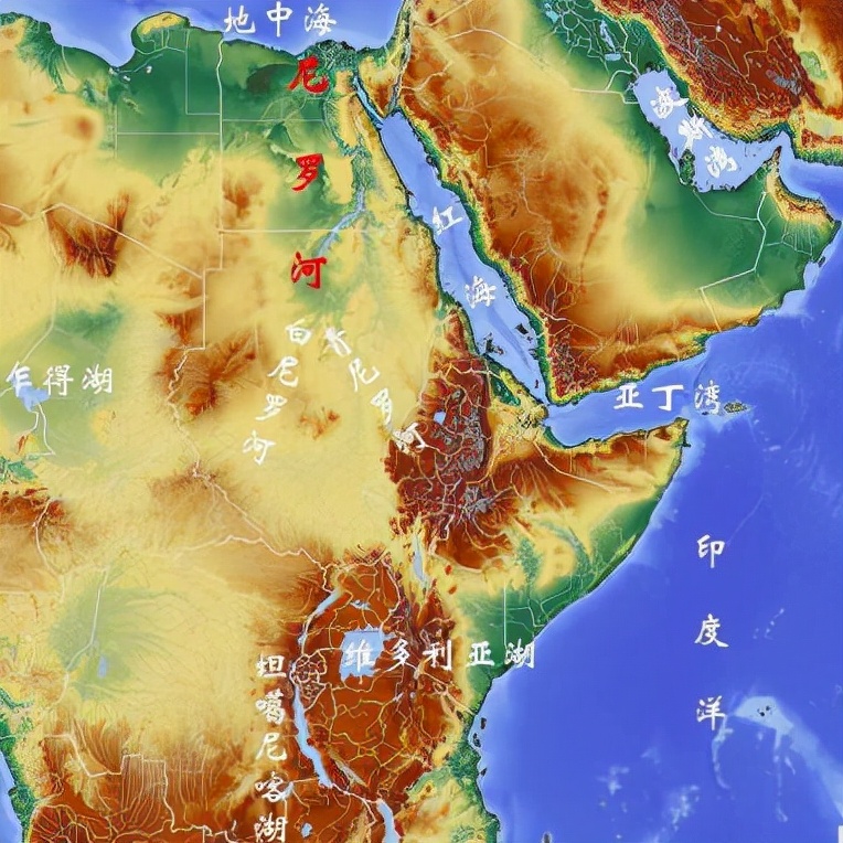 高中历史从食物采集到实物生产,高二历史第三课食物生产