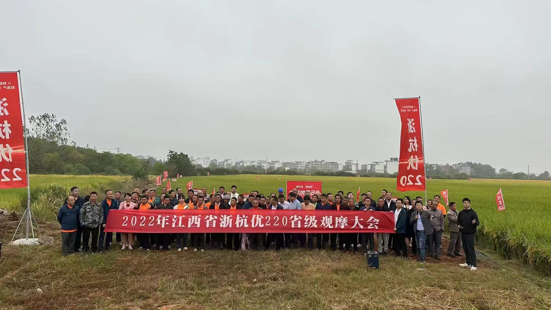 金色农华籼梗交新标杆、新升级——浙杭优220