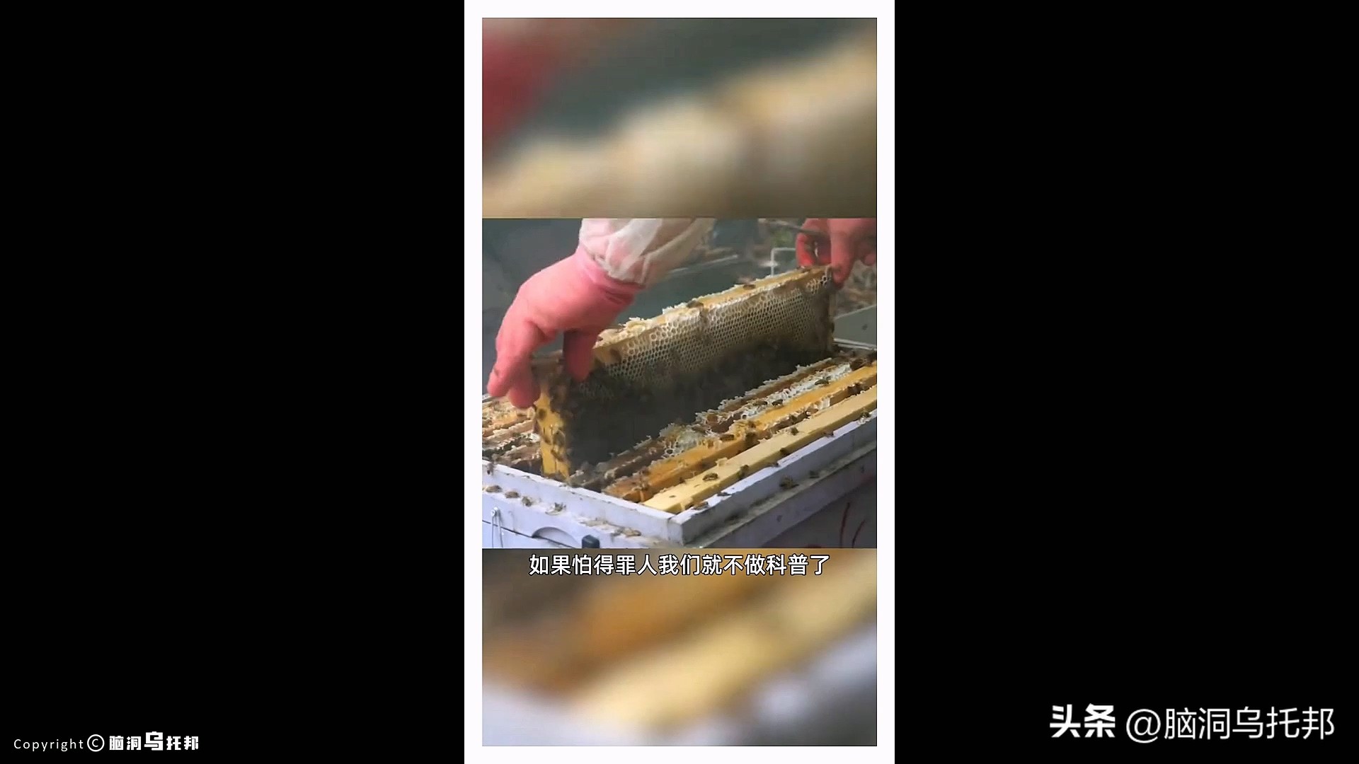 海天酱油添加剂辛吉飞,海天酱油添加剂是什么