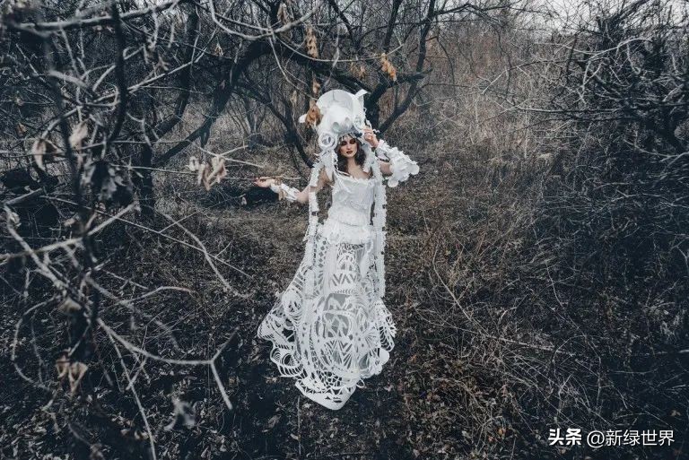 一组纸艺作品,令人惊艳的纸艺作品