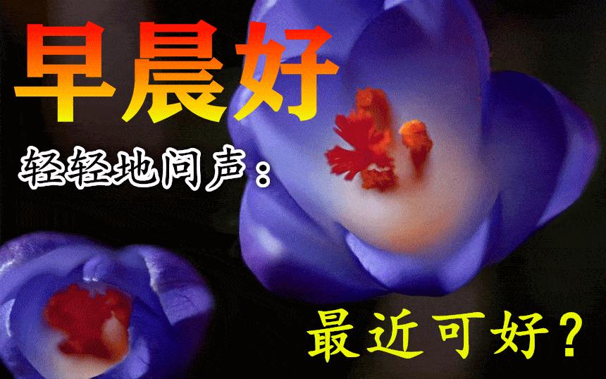 分享快乐早安图片,分享早安图片最新版