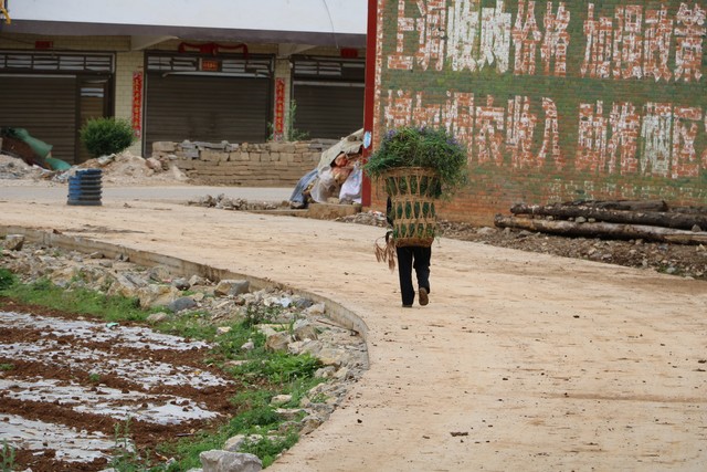 真实的乡村真实的土地精神,真实的农村耕地视频