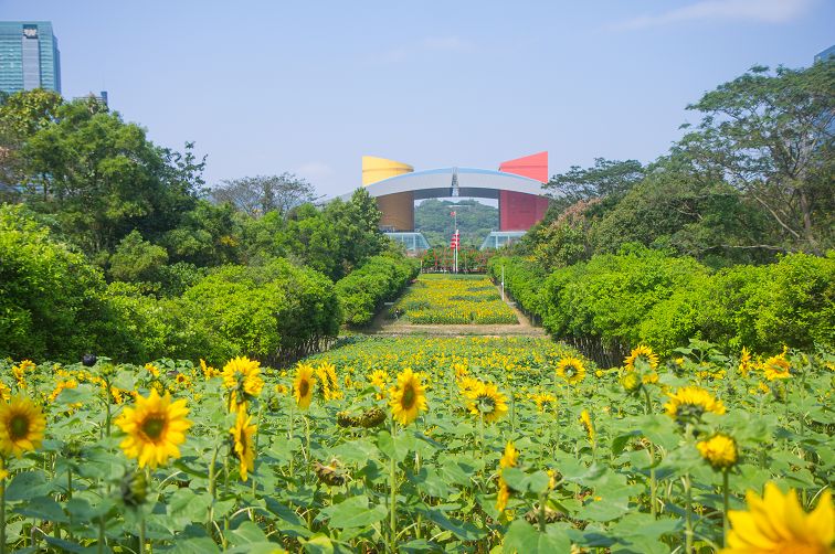 福田六个先行示范城市,福田先行示范区建设方案