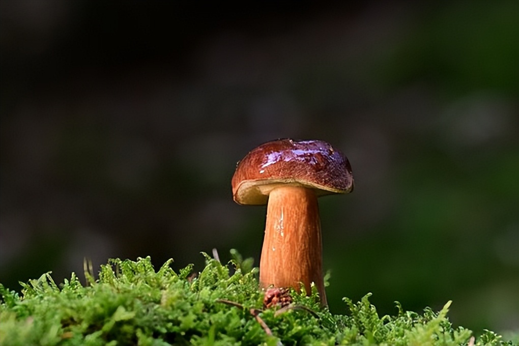 不要让4种人来你家串门,三种人不能随便去别人家串门