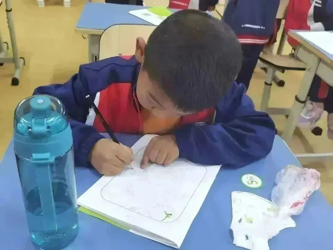 种子乐园游玩攻略,种子乐园2-6岁儿童科普