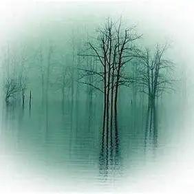 太难了睡不着觉,太难入眠怎么办